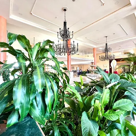 Apartamento T1s Con Ac, Wifi, Piscina En Tenerife Sur 산미겔데아보나